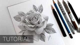 Tutorial  How to Draw a Realistic Rose [upl. by Sedinoel]