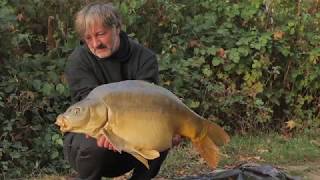 Carpfishing With EDDY STERCKX On Lac De Rogers [upl. by Alleber]