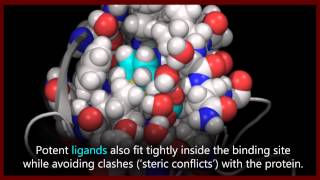 A basic introduction to drugs drug targets and molecular interactions [upl. by Tremaine938]