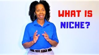 Niche Definition  What is niche [upl. by Hasty]