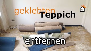 geklebten Teppich entfernen  Teil 1 [upl. by Kciredohr518]