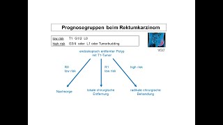 Prognosegruppen beim Rektumkarzinom  Strahlentherapie Prof Hilke Vorwerk [upl. by Lancaster]