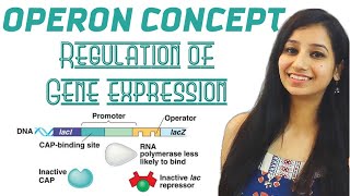 Operon Concept  Regulation of Gene ExpressionMolecular BiologyCSIRNETGATEIITJAMICARICMRDBT [upl. by Emie282]