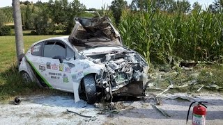 Rally Crash Compilation  Best of rally [upl. by Dalis]