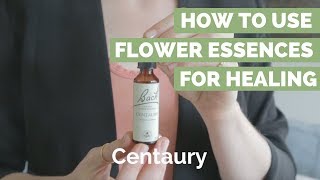 How to use Flower Essences for Healing [upl. by Asiluj785]