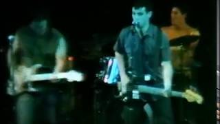 Minutemen  Live  The Starwood LA 11880 VIDEO FOOTAGE [upl. by Adyl]