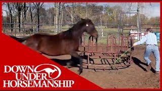 Clinton Anderson Presents Running Scared Training An Aggressive Horse [upl. by Nylanej175]