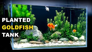 Aquascape Tutorial PLANTED GOLDFISH Aquarium The ORanchu Crew How To Full Step By Step Guide [upl. by Corley650]