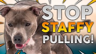 STAFFORDSHIRE BULL TERRIER TRAINING How To Stop Your Staffy From Pulling On Walks [upl. by Noivart]