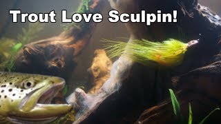 Sculpenstein Sculpin Streamer  Underwater Footage  McFly Angler Fly Tying [upl. by Lars]