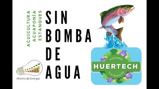 Acuaponía sin bomba de agua ganador al Premio a la Innovación Sustentable Aqua Green 2020 [upl. by Nerine]