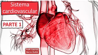 SISTEMA CARDIOVASCULAR  parte 1 anatomia veterinária [upl. by Autum]