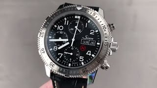 Sinn 206 ST AR DayDate Chronograph 206 ST AR Sinn Watch Review [upl. by Reizarf569]