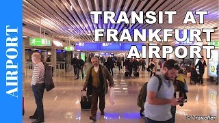 TRANSIT WALK AT FRANKFURT Airport FRA Terminal 1  Connection Flight Transfer Arriving amp Departing [upl. by Wolfgang]