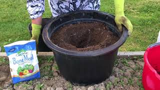 Planting Tomatoes in Containers [upl. by Liberati]