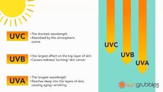 UVA vs UVB Sun Protection Guide uva uvb [upl. by Inavoy847]