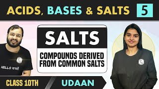 Acids Bases amp Salts 05  pH  Salts  Compounds Derived from Common Salts  Class 10  NCERT [upl. by Leisha439]