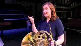 Intro to the Orchestra French Horn [upl. by Charters293]