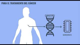 Microarrays de ADN aplicación al cáncer [upl. by Maxine440]