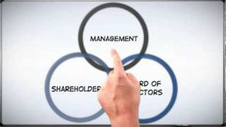 Corp 101 The Basics of Corporate Structure [upl. by Ajidahk]