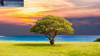 Serotonin Release Music with Alpha Waves  10 Hz Binaural Beats Healing Music Happiness Frequency [upl. by Barb]