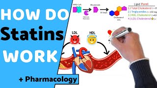 How do Statins Work  Pharmacology [upl. by Ivey]