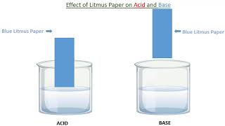 ACID AND BASE LITMUS PAPER LITMUS PAPER TEST in English [upl. by Tracie302]