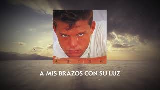 Luis Miguel  Me Niego A Estar Solo Video Con Letra [upl. by Gussi171]