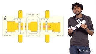 Manu Prakash Stanford Foldscope Origami Based Paper Microscopes [upl. by Akyssej]