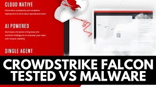 Crowdstrike Falcon Review  Tested vs Malware [upl. by Jelle]