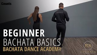 Bachata Beginner Basic Steps Tutorial  Demetrio amp Nicole  Bachata Dance Academy [upl. by Bilat]