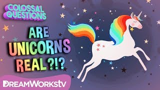 Did UNICORNS Ever Exist  COLOSSAL QUESTIONS [upl. by Barraza295]