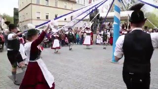 Raising the Maibaum or Maypole in Bavaria [upl. by Eelsel890]