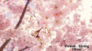 Vivaldi  Four Seasons Spring 1Hour Classic [upl. by Schroeder]