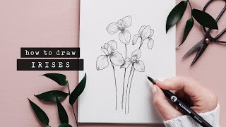 How To Draw An Iris Flower  Floral Illustration [upl. by Tini522]