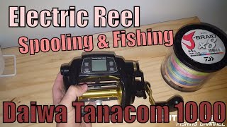 Electric Reel Spooling amp Fishing Daiwa Tanacom 1000 [upl. by Dinsdale]