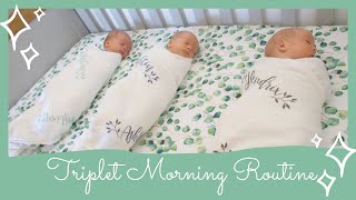 Newborn Triplets Morning Routine [upl. by Neahs]