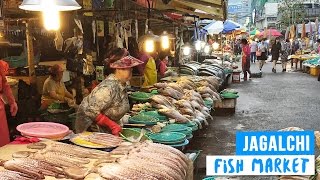 Fresh Fish Market in Busan South Korea [upl. by Onaireves838]