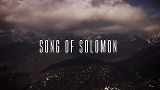 Song of Solomon Official Lyric Video  Martin Smith [upl. by Acenes]